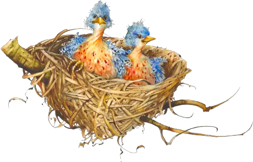 Birds Nest Png 2 Image Portable Network Graphics Nest Png