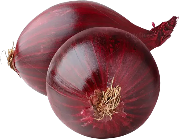 Download Red Onion Png Image Png Image Red Onion Onion Png
