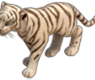 White Tiger Bengal Tiger Png White Tiger Png