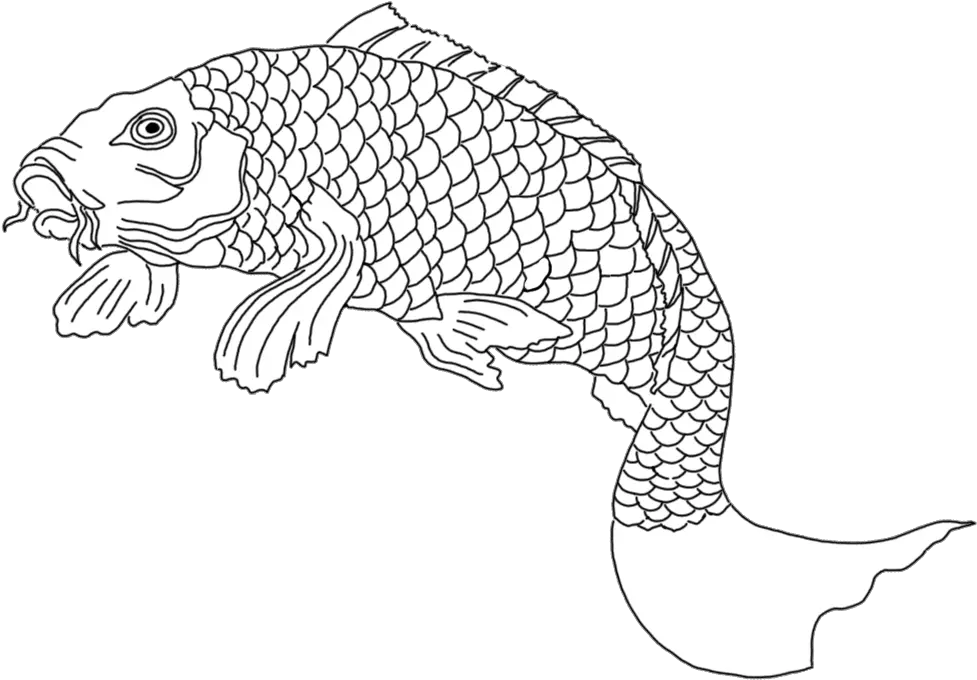 Japanese Koi Fish Drawings Png Free Transaprent Koi White Fish Koi Fish Png