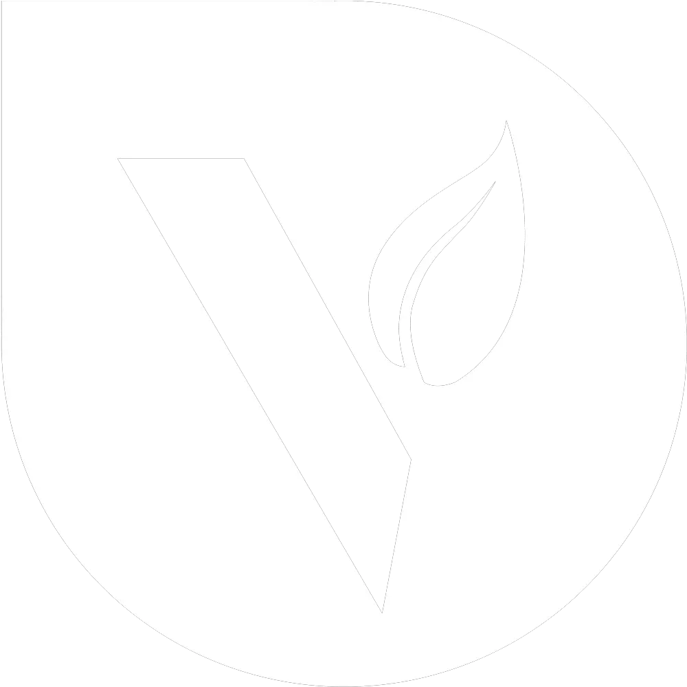 Vine Fellowship U2013 Non Denominational Church In The Arlington Dot Png Vine Logo Png