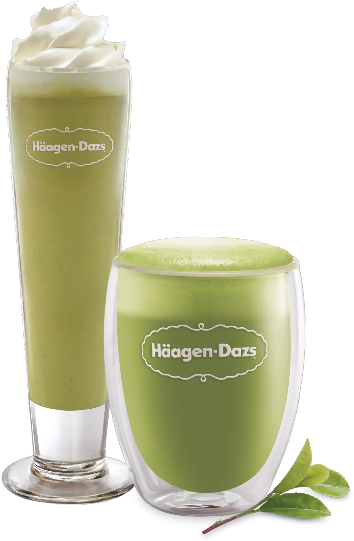 Download Iced Green Tea Latte U0026 Coffee Ice Cream Sodas Green Tea Shake Transparent Png Arizona Iced Tea Png