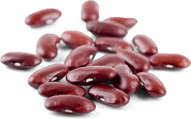 Kidney Beans Png Images Free Download Dried Kidney Beans Beans Png