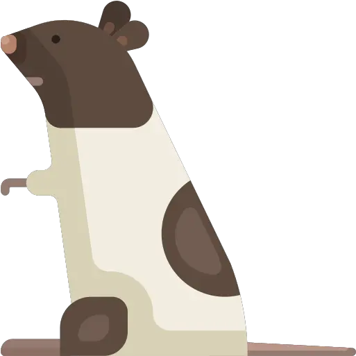 Rat Png Icon 7 Png Repo Free Png Icons Icon Rat Transparent