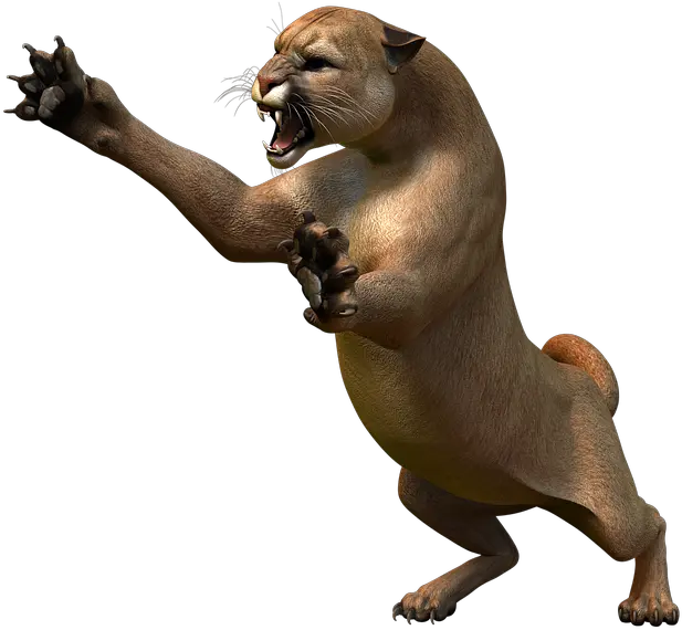 Mountain Lion Predator Puma Png Mountain Lion Puma Png