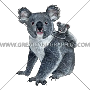 Koala Family Production Ready Artwork For T Shirt Printing Koala Png Koala Transparent