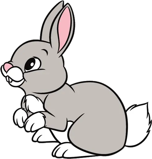 Animal Clipart Rabbit Transparent Free For Rabbit Clipart Png Rabbit Transparent