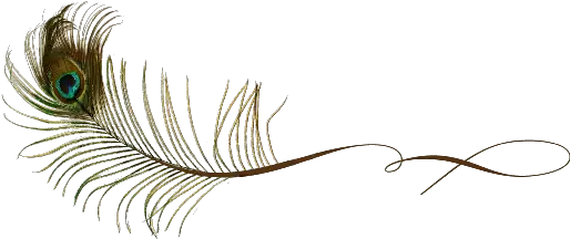 Birds Paintings Documents And Designs Png Peacock Feather Icon