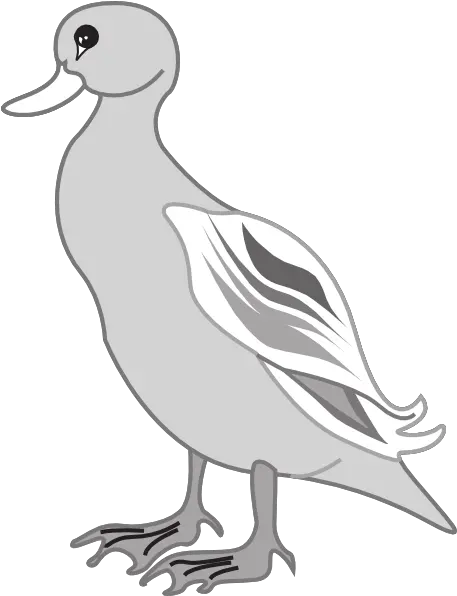 White Duck Gray Duck Clipart Transparent Png Original Grey Duck Clipart Duck Clipart Png