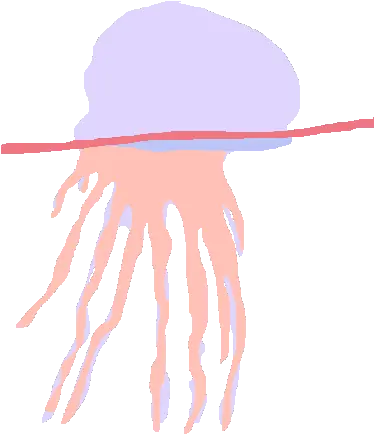 How The Fronds Fold Jellyfish Png Jellyfish Icon