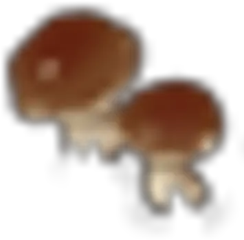 Brown Mushrooms Dot Png Mushrooms Icon