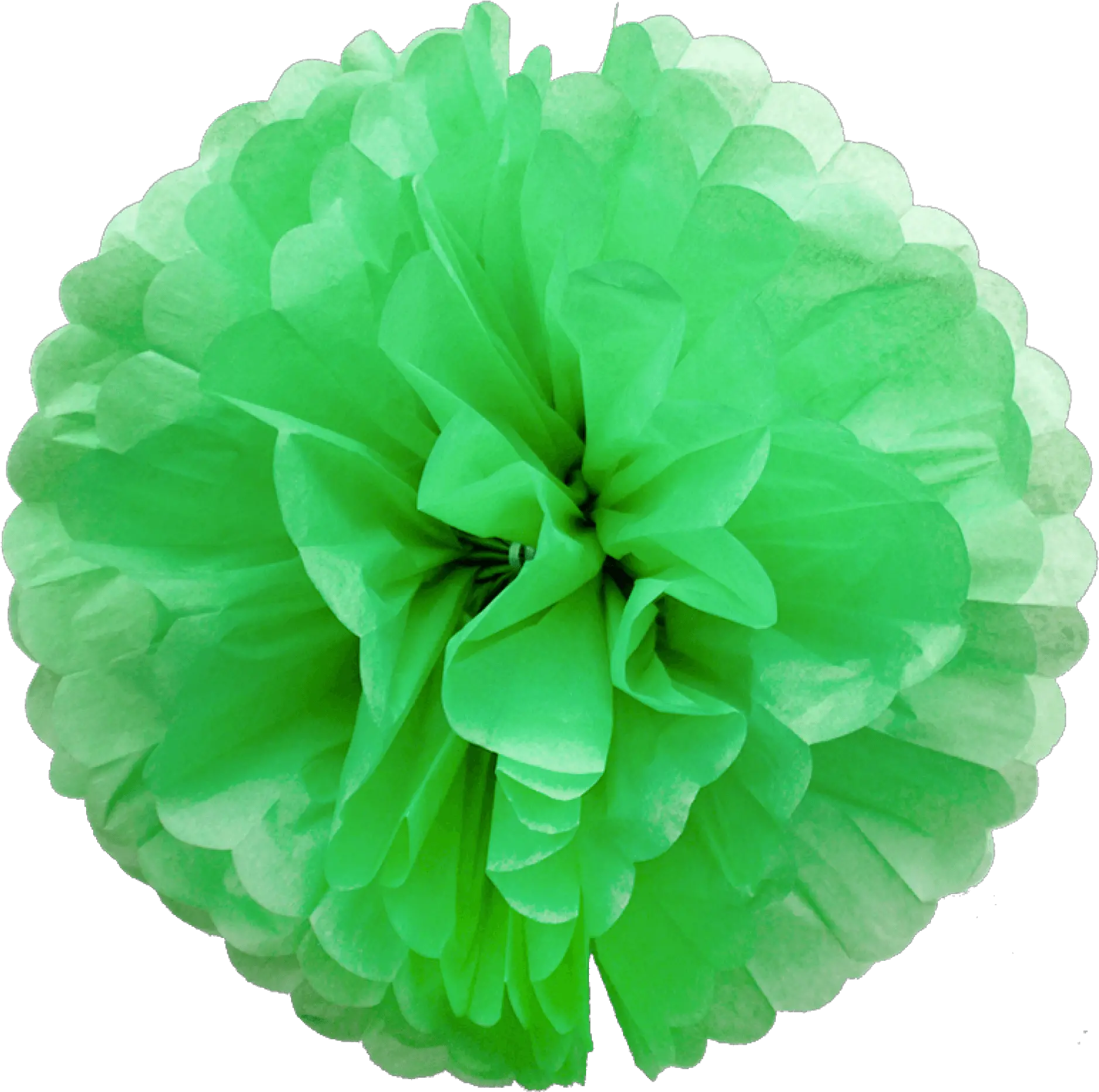 Grass Green Paper Pompoms Green Pom Poms Png Pom Poms Png