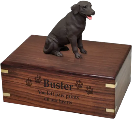 Chocolate Labrador Retriever Figurine Dachshund Cremation Urns Png Black Lab Png