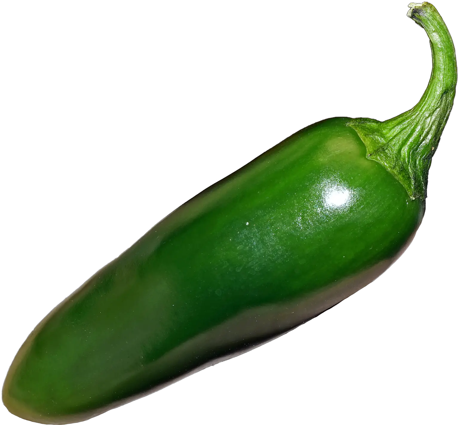 Filejalapeñopng Wikimedia Commons Jalapeno Png Chili Png