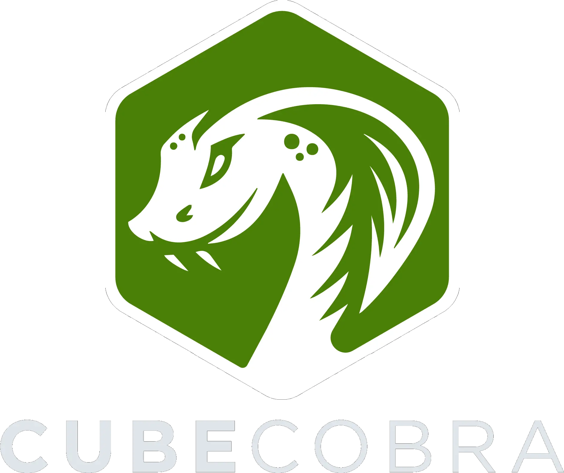 Cube Cobra Cube Cobra Logo Png Cobra Logo Png