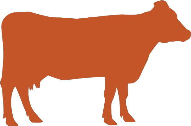 Cow Comfort Alltech Animal Figure Png Cow Icon
