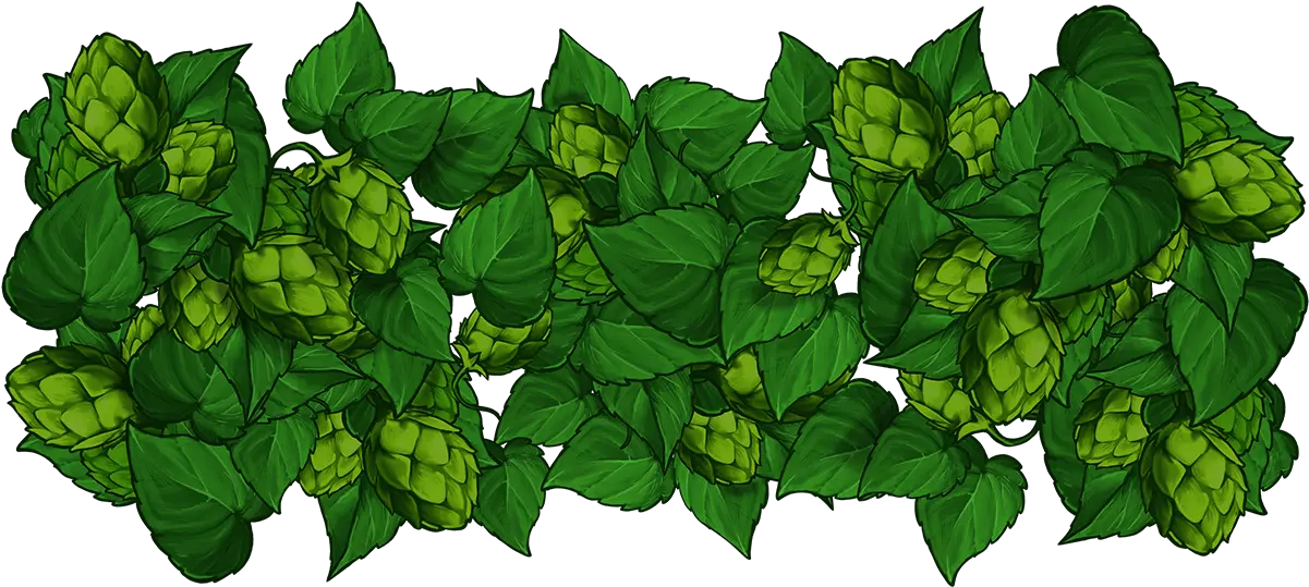 Golden Hop Illustration Png Hops Png