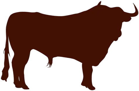 Transparent Png Svg Vector File Toro Png Bull Transparent