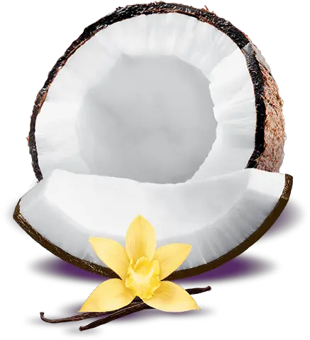 Toasted Coconut Vanilla Yogurt Png Toasted Coconut Vanilla Greek Yogurt Vanilla Png