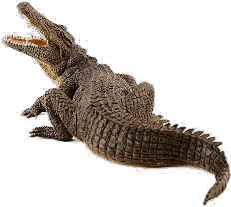 Crocodile Png Image Papo Crocodile Crocodile Png