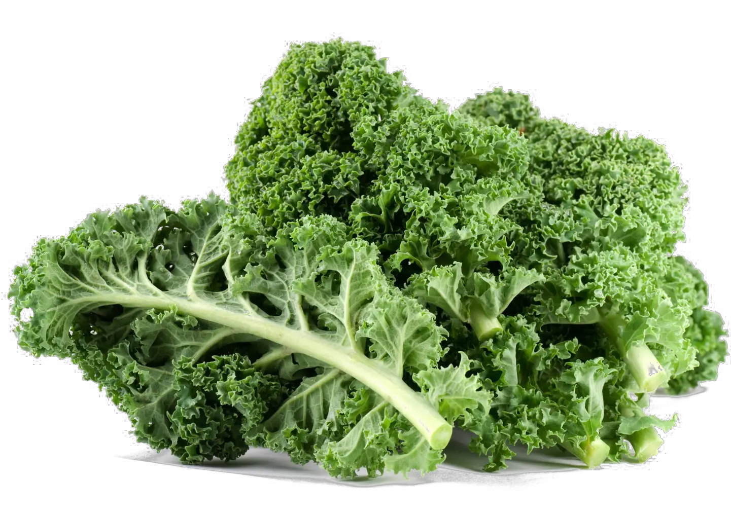 Download Kale Png File Kale Png Kale Png