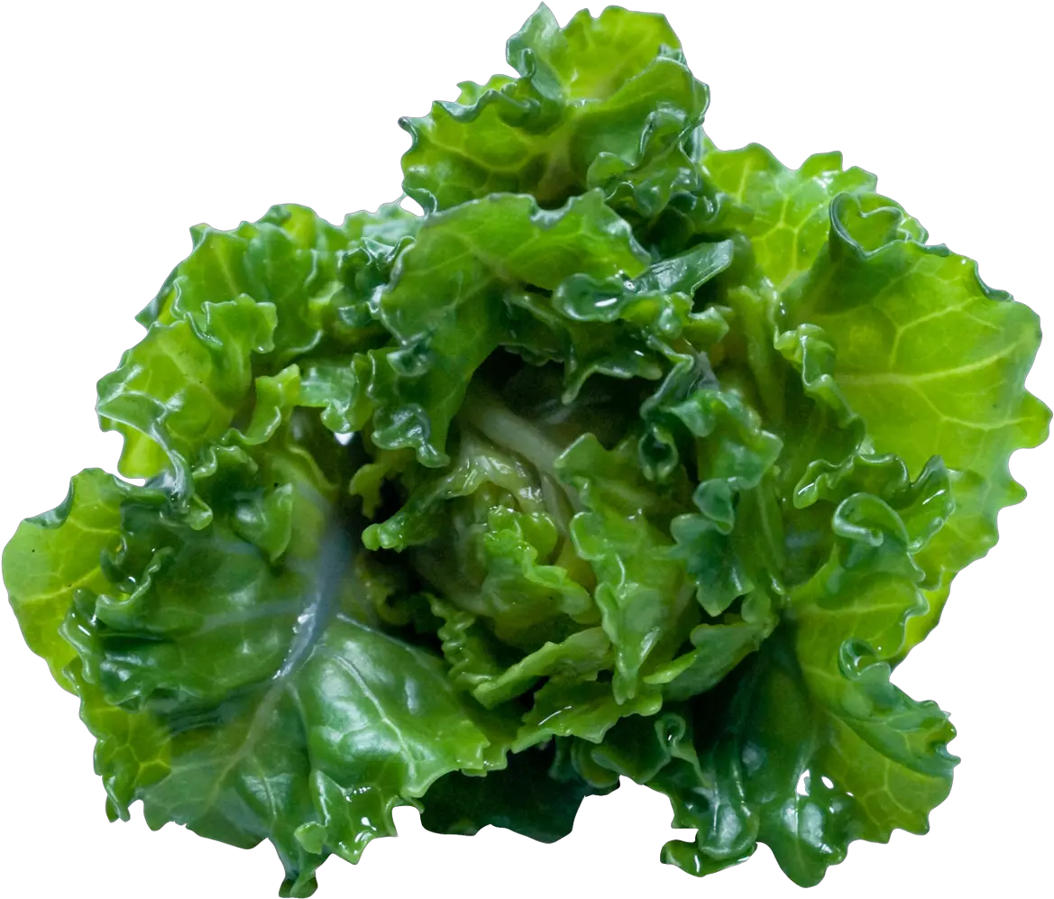 Download Kale Png Image For Free Kale Png Kale Png