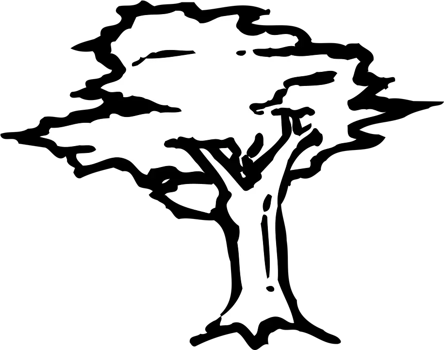 Arbor Drawing Icon Swamp Stencil Tree Png Drawing Icon Png