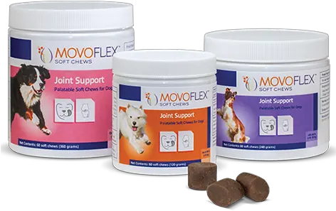 Movoflex North Penn Animal Hospital Lansdale Pa Png Icon Lansdale Pa