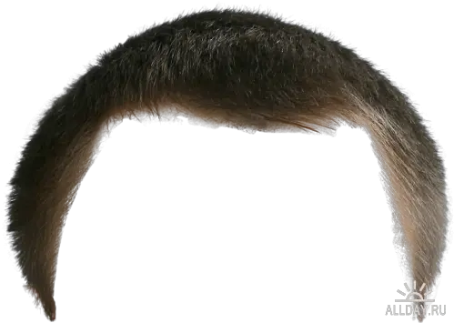 Moustache Png Images Free Download Long Beard