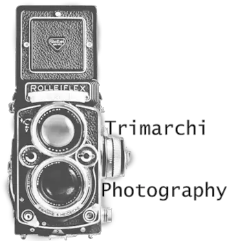 Behind The Camera Trimarchi Photography Reflex Camera Png Vintage Camera Icon Vector