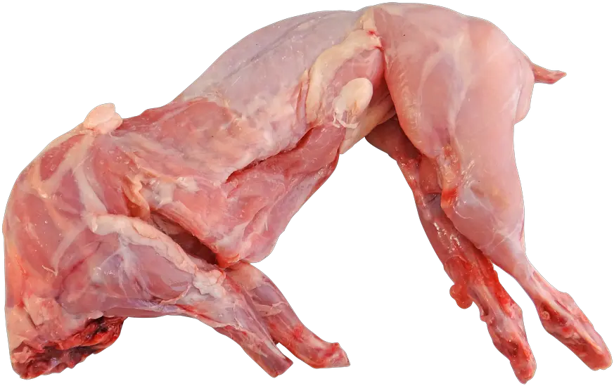 Rabbit Meat U0026 Poultry Kuala Lumpur Kl Malaysia Rabbit Meat Png Meat Transparent