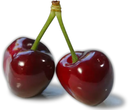 Cherry Png Images Free Download Cherries Png Cherries Png