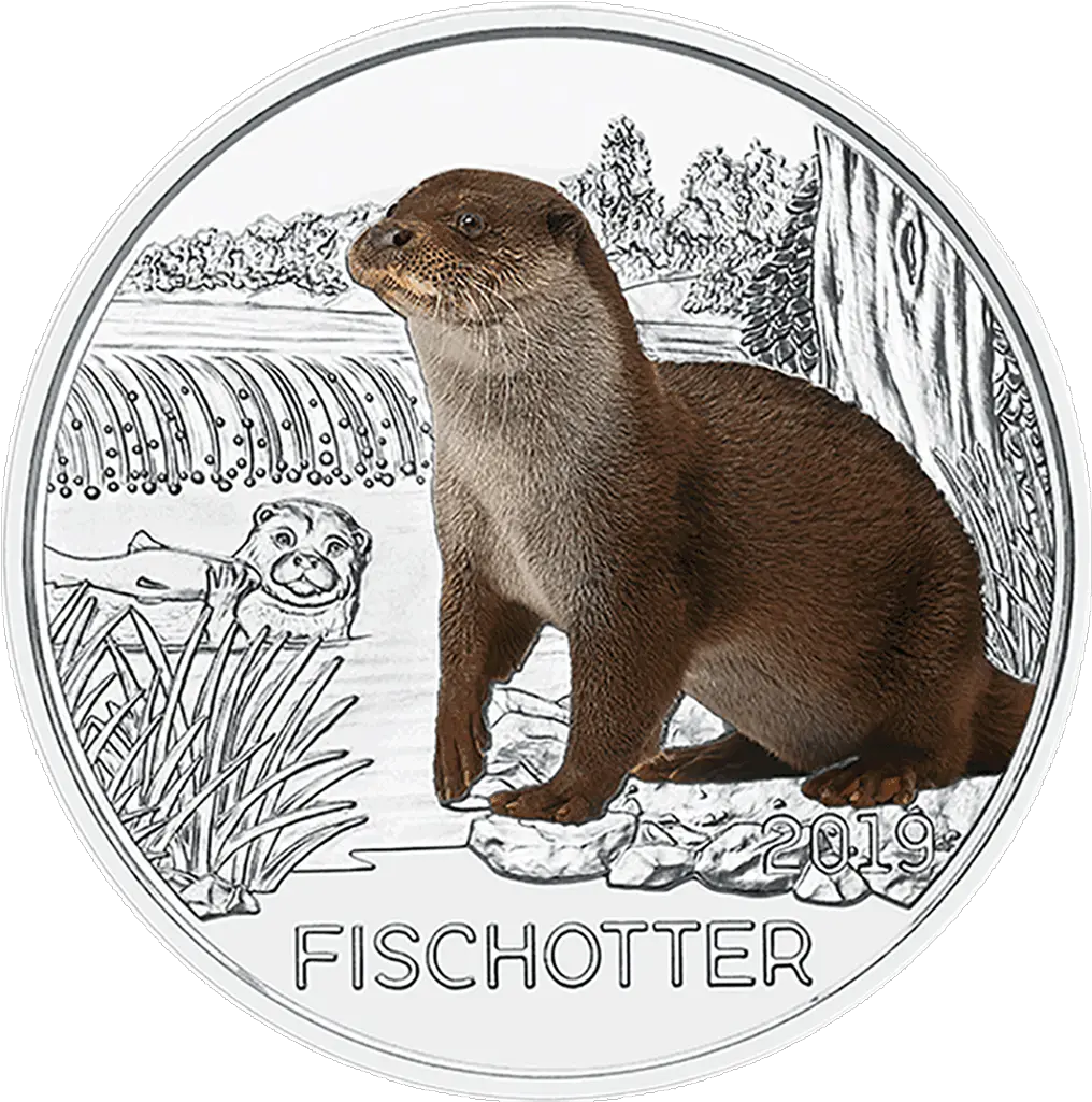 The Otter Otter Coin Png Otter Png