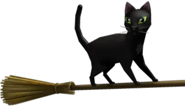 Magic Broom Black Cat Black Cat Png Black Cat Png