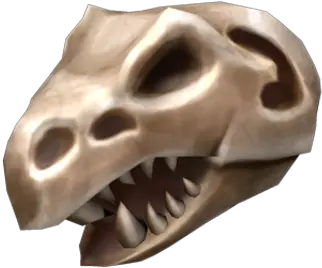 Terrifying T Skull Png Dinosaur Skull Png