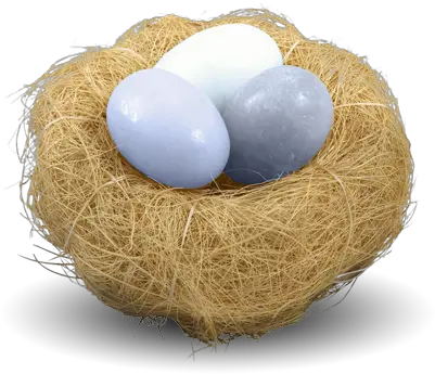 Download Nest Png Nest Png