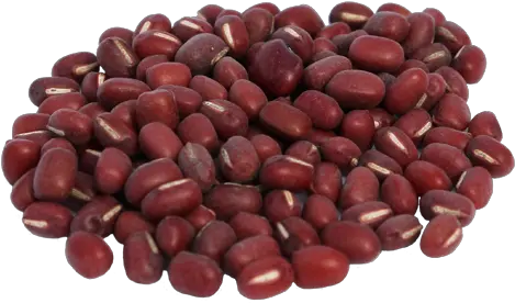 Kidney Beans Png Images Free Download Adzuki Bean Beans Png