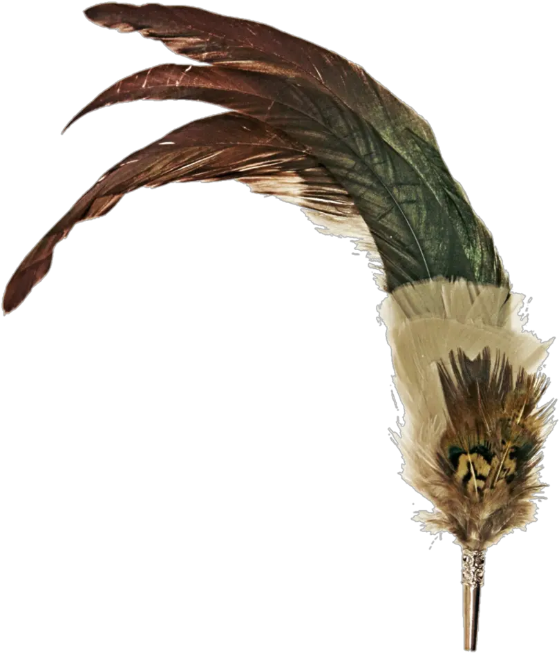 Feather Pen Png Picture 615641 Vintage Pen Feather Png Quill Pen Png