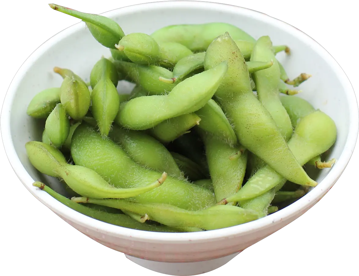 Download Edamame Bean Png Image For Free Edamame Beans Png Bean Png