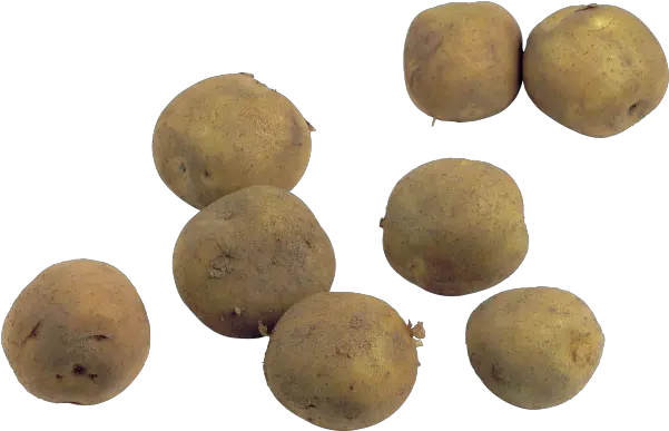 Potato Png Free Download 2 Potato Potato Png Transparent