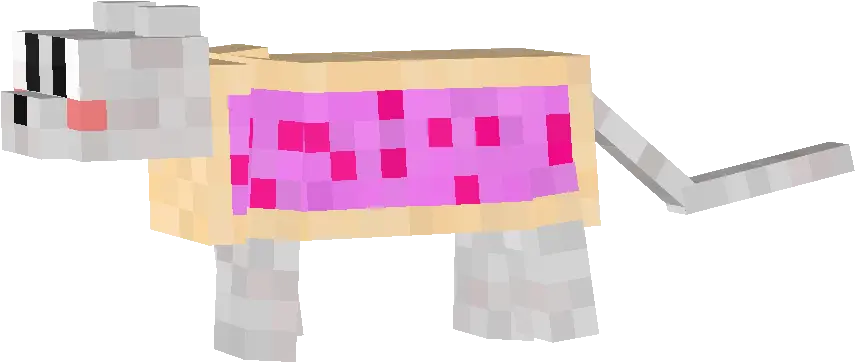 Lol Minecraft Ocelot Transformed Into Nyan Cat There Minecraft Nyan Cat Mod Png Nyan Cat Png