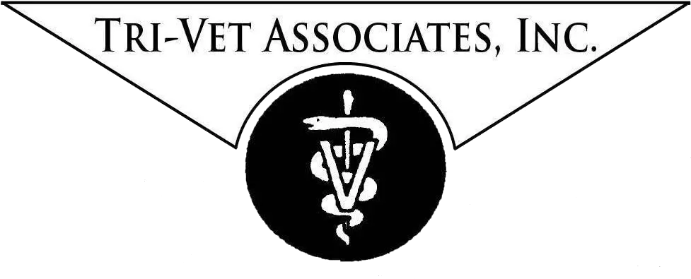 Veterinarian Animal Clinic Farley Ia Tri Vet Png Ia Store Icon