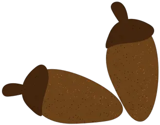 Transparent Png Svg Vector File Acorn Acorn Png