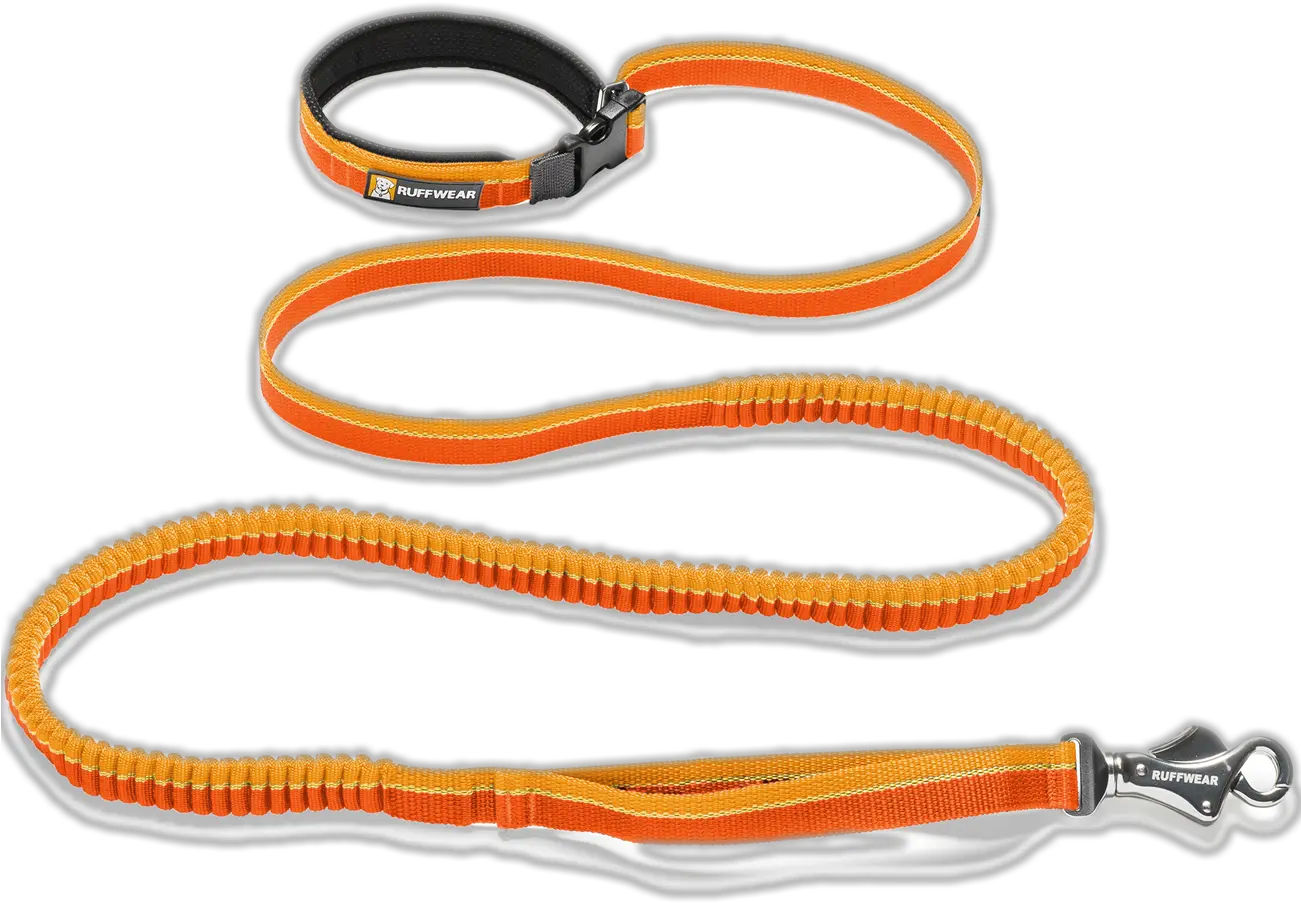 Leash Png Images Free Download Leash Collar Png