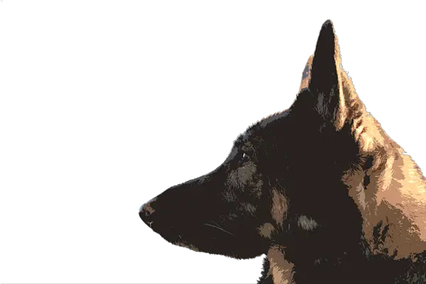 Portrait Of A German Shepherd Baby Onesie Northern Breed Group Png German Shepherd Transparent