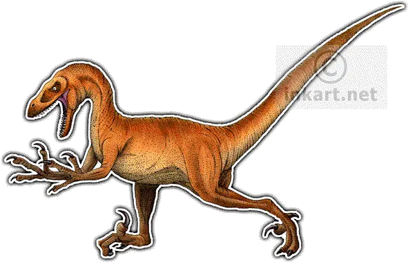 Velociraptor Png 2 Image Drawing Velociraptor Png