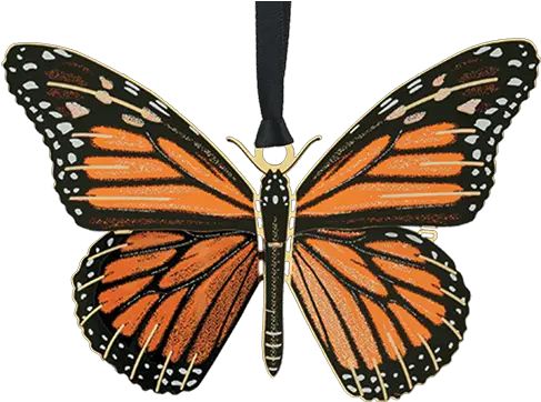 Monarch Butterfly Monarch Butterfly White Background Png Monarch Butterfly Png