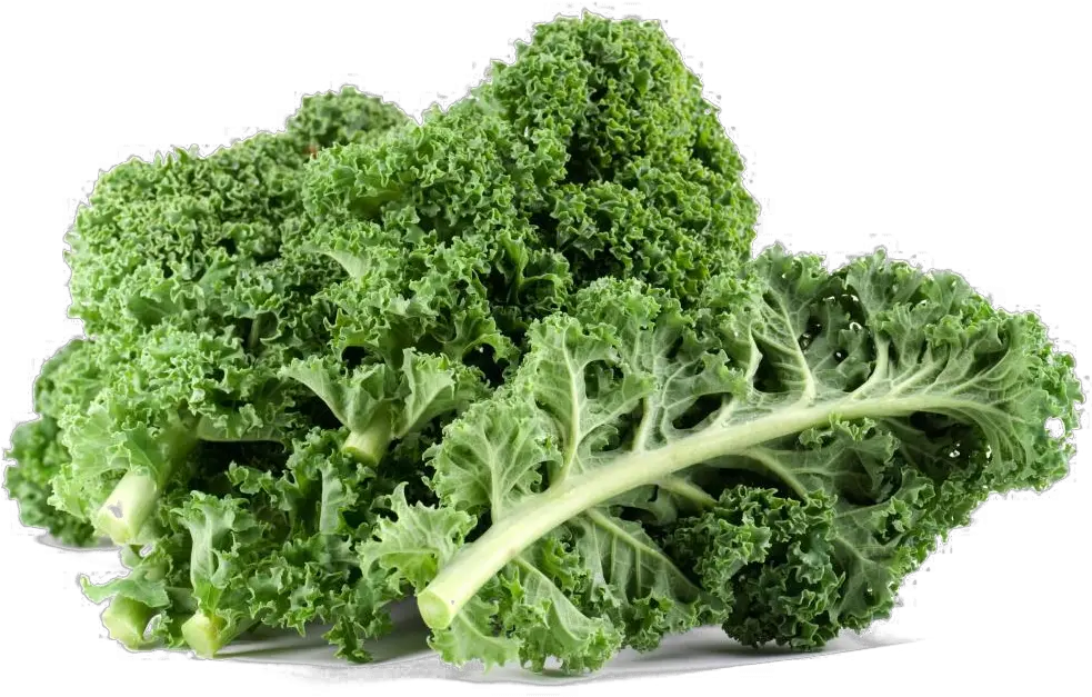 Png Free Download For Designing Project Transparent Background Kale Png Kale Png