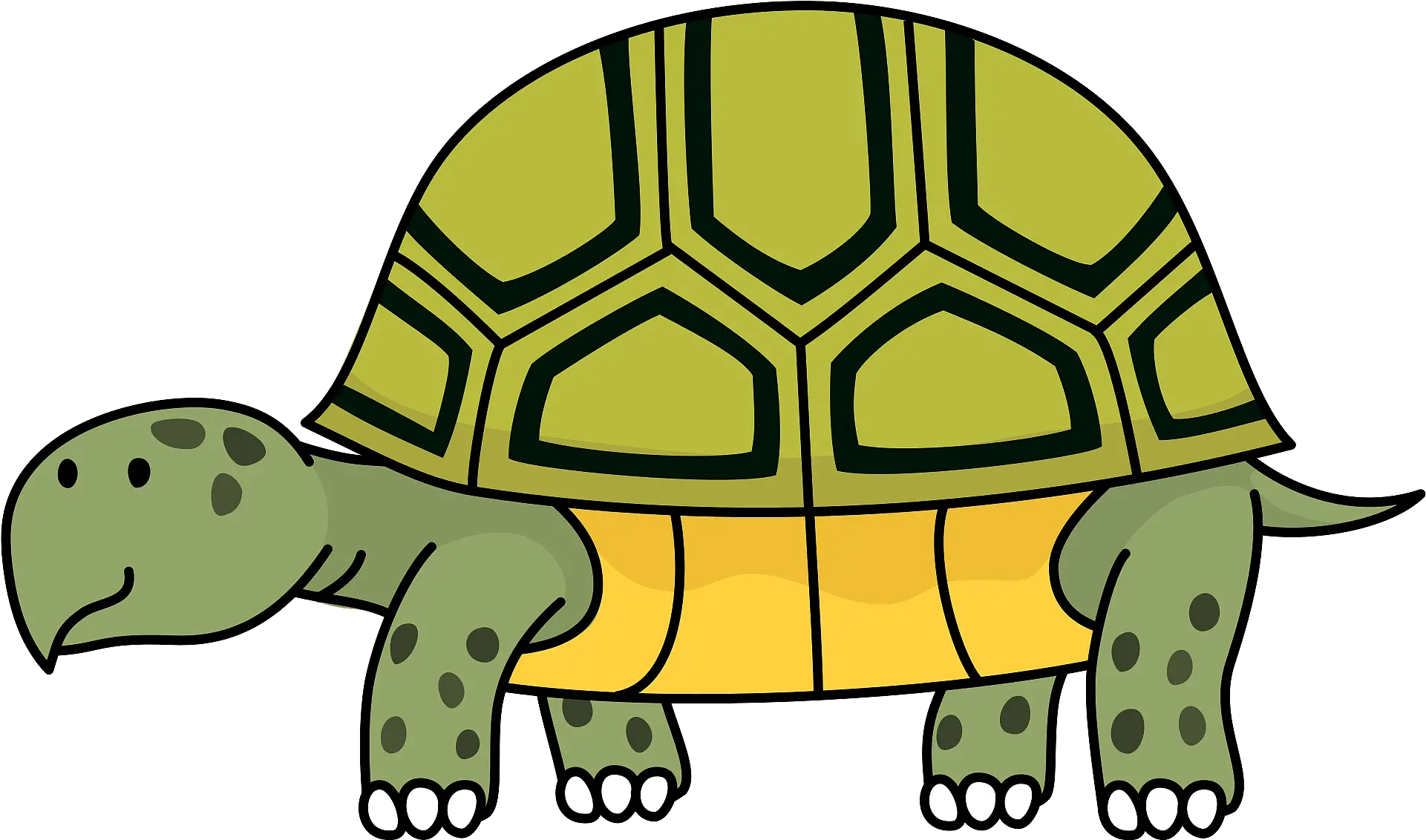 Turtle Tortoise Animal Clipart Desert Tortoise Clipart Png Tortoise Png