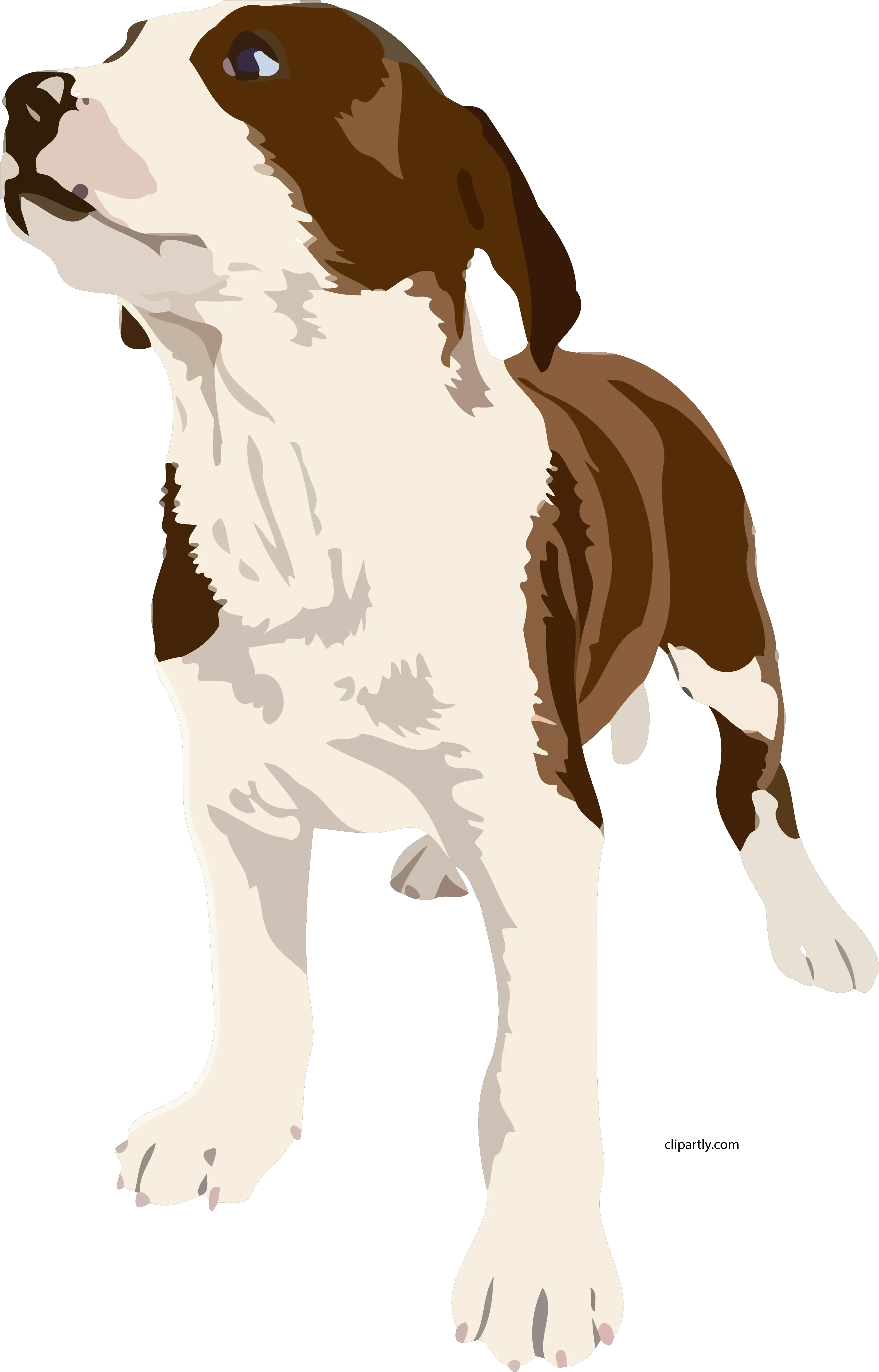 Dog Realistic Clipart Png U2013 Clipartlycom Brown And White Dog Clipart Dogs Png